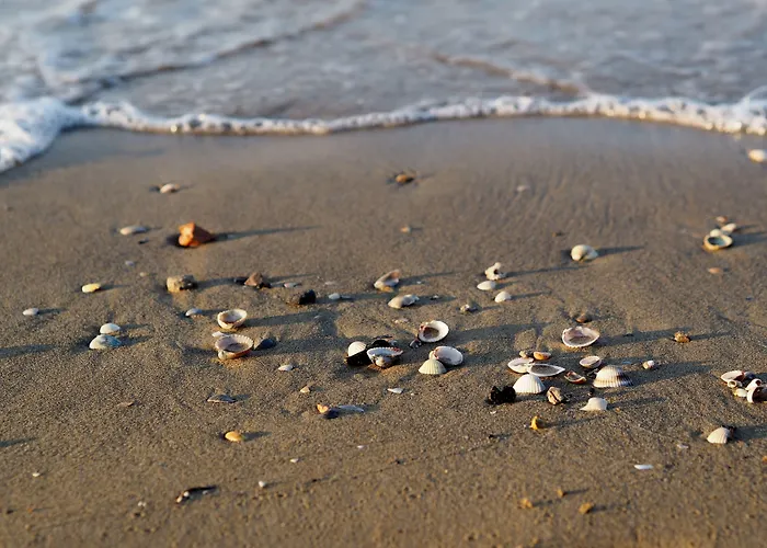 Comfy Flat With Two Terraces And Fireplace Bibione